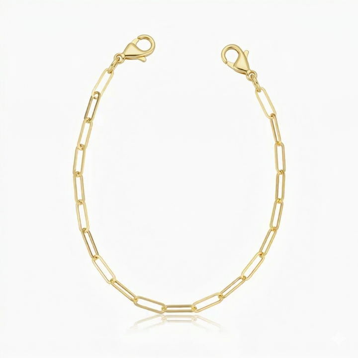 Venice Link Bracelet
