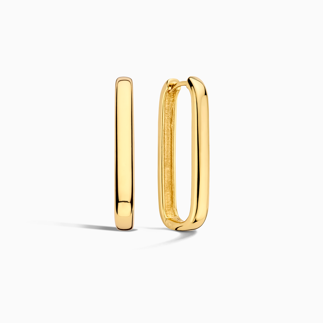 Icon Hoops