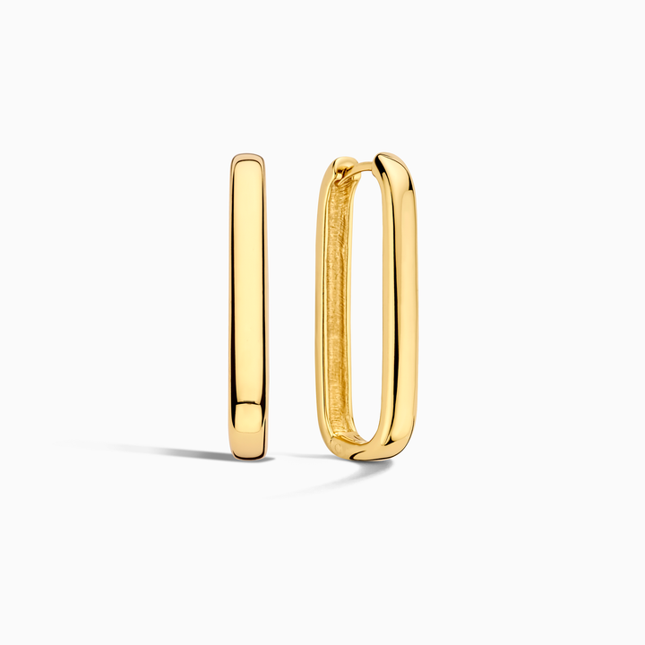 Icon Hoops