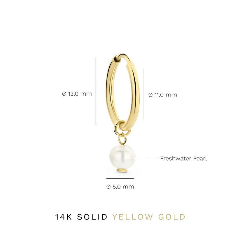 Delia Crest Earrings (Gold)