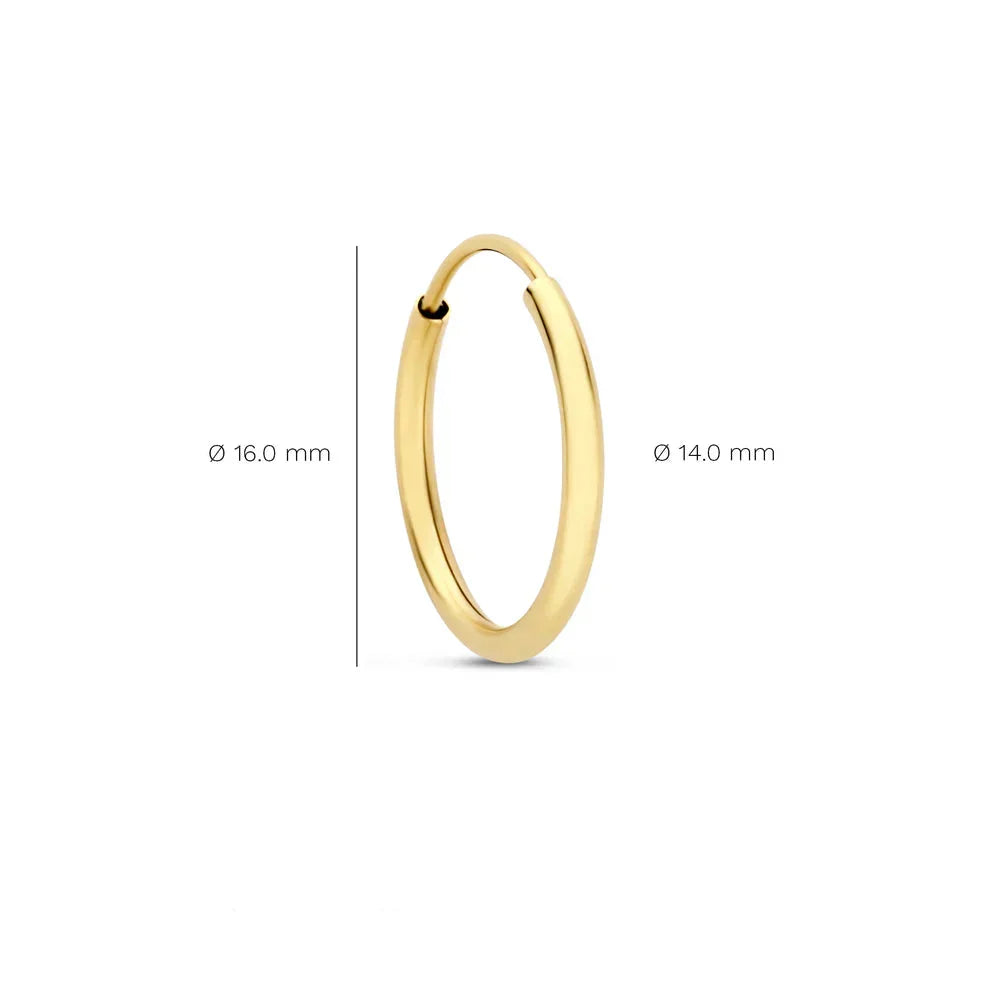 Noémie Sorel Earrings