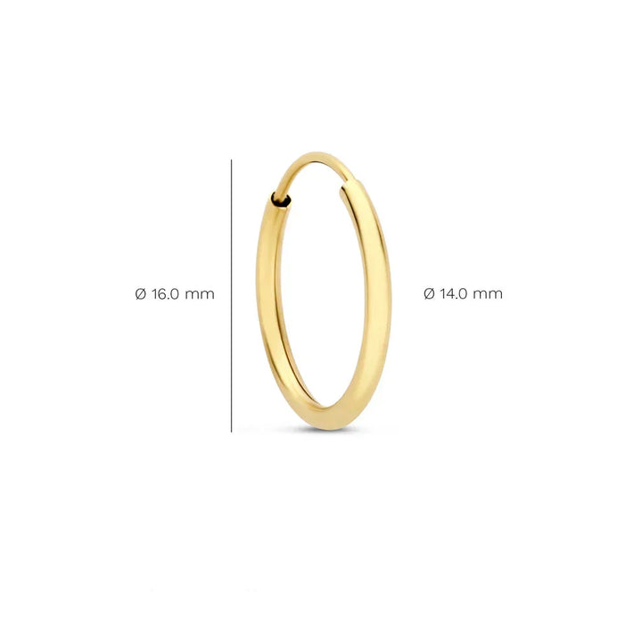 Noémie Sorel Earrings