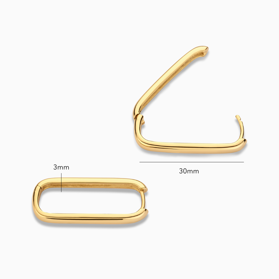 Icon Hoops